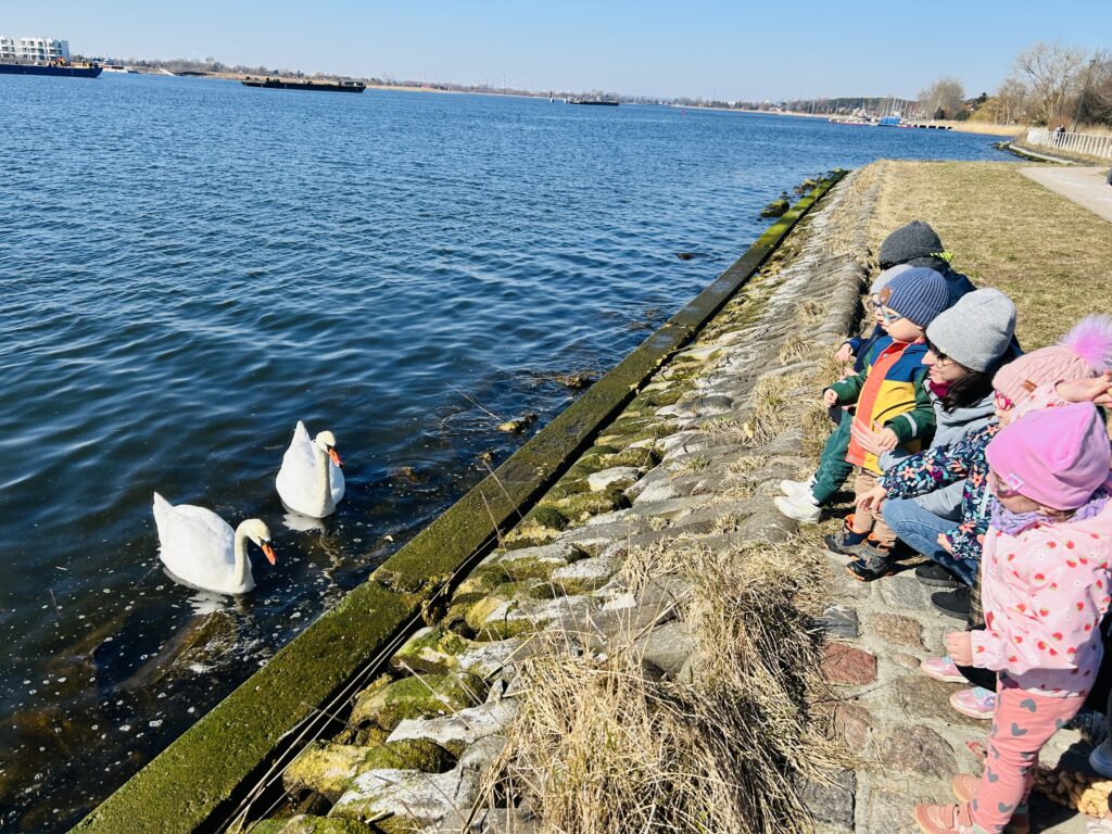 Dzieci karmią łabędzie