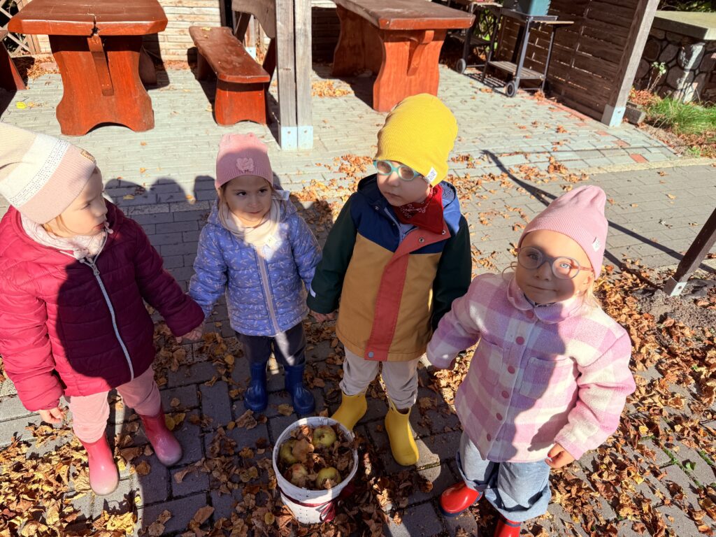 Słoneczka w ogrodzie 