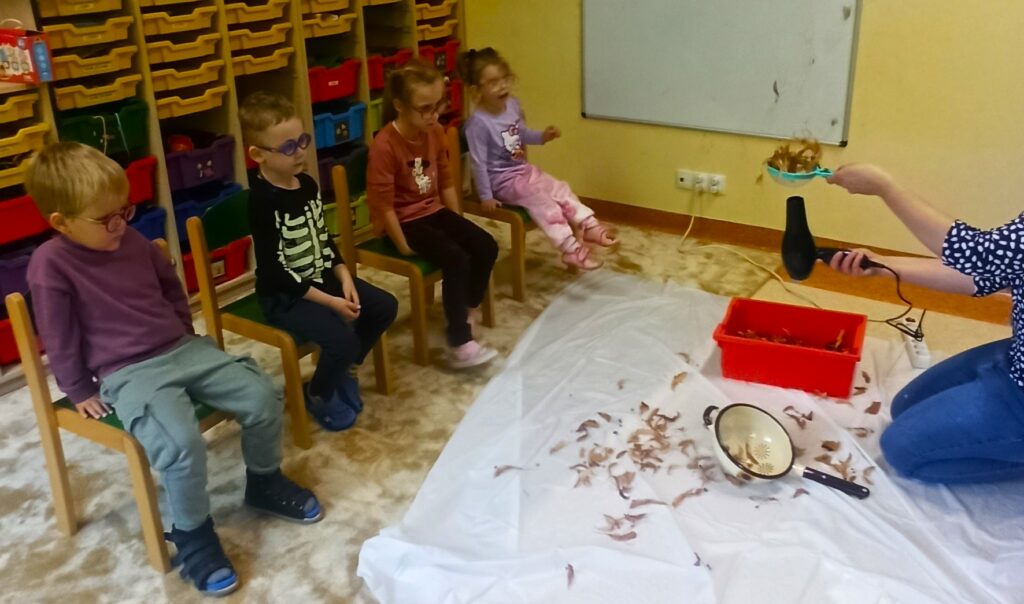 Zajęcia metodą  Attention Autism