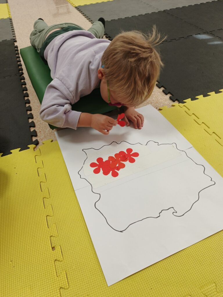 Zajęcia ruchowo-wzrokowe