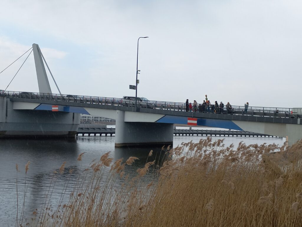 Wyrzucanie do Wisły marzanny