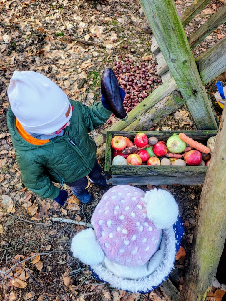 Wkładanie warzyw dla zwierząt