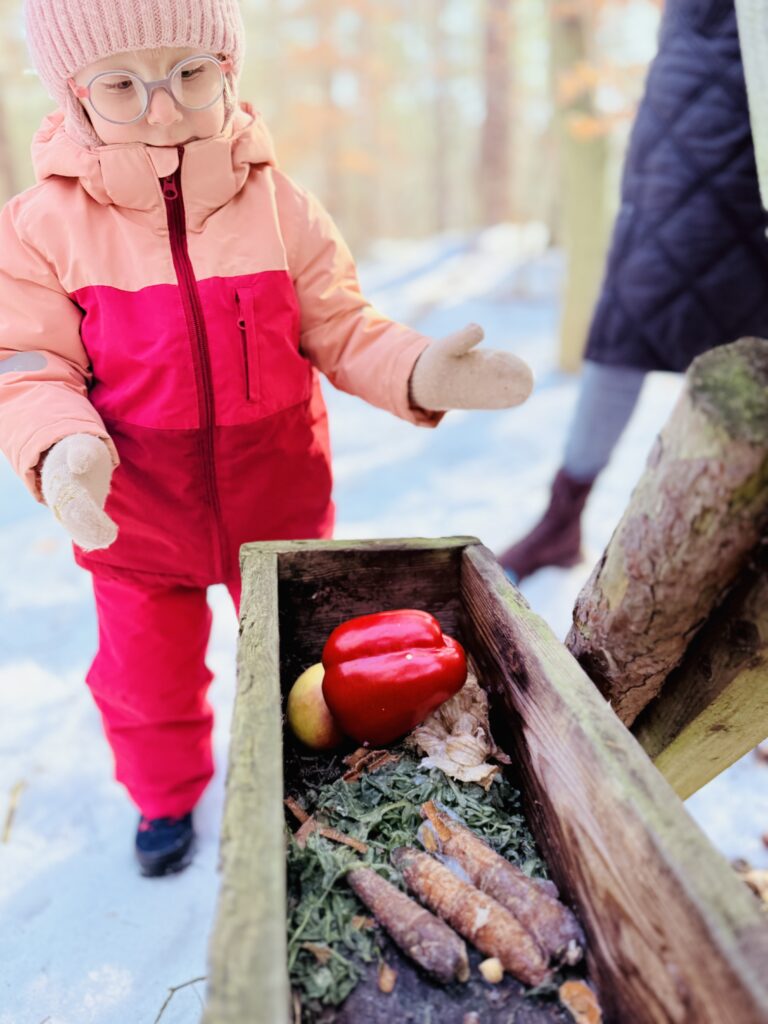 Wkładanie warzyw dla zwierząt