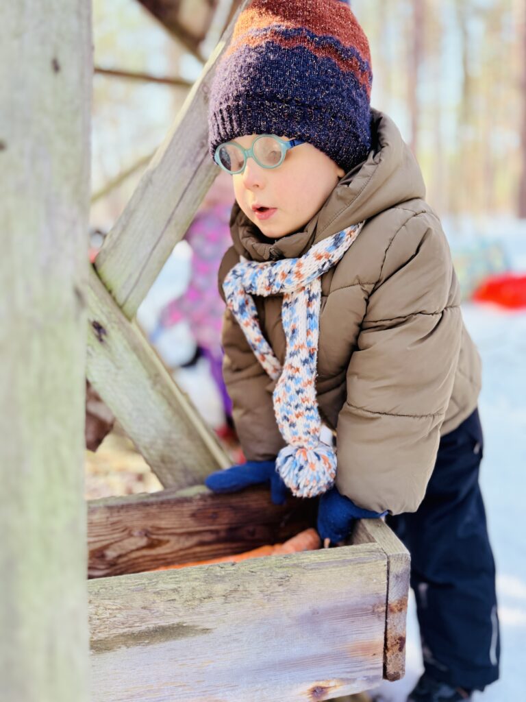 Wkładanie warzyw dla zwierząt