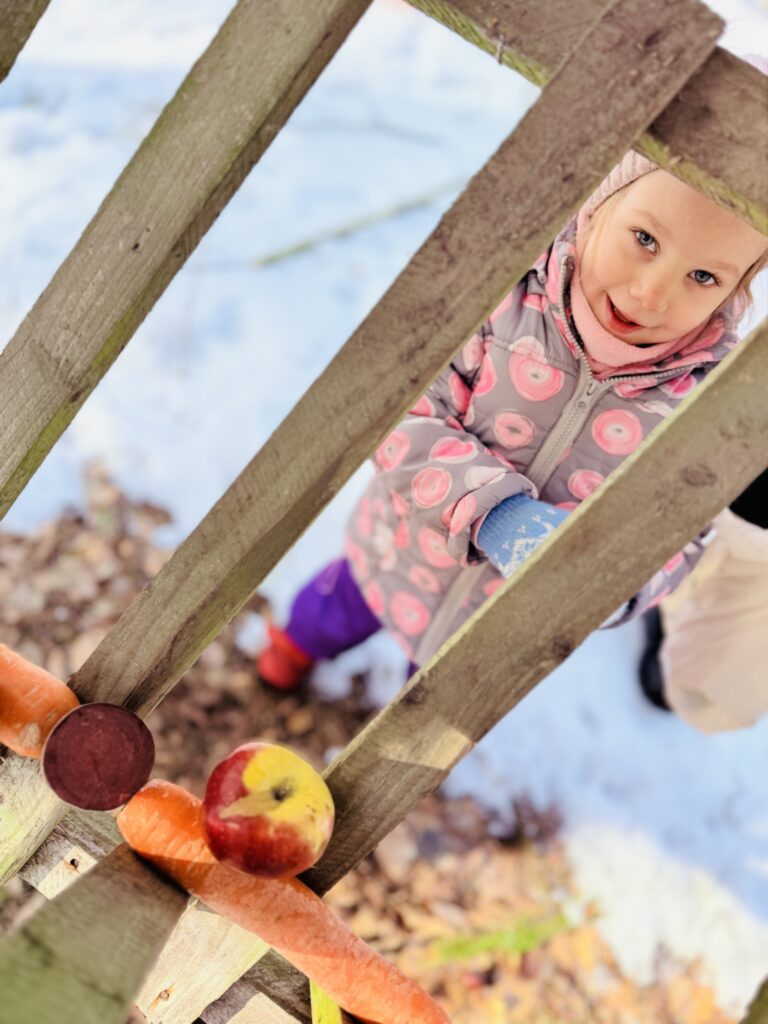 Wkładanie warzyw dla zwierząt