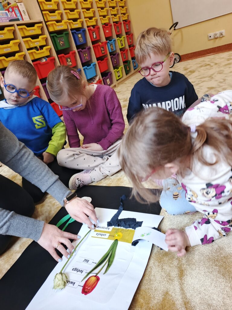 Nauka wzrostu kwiatków