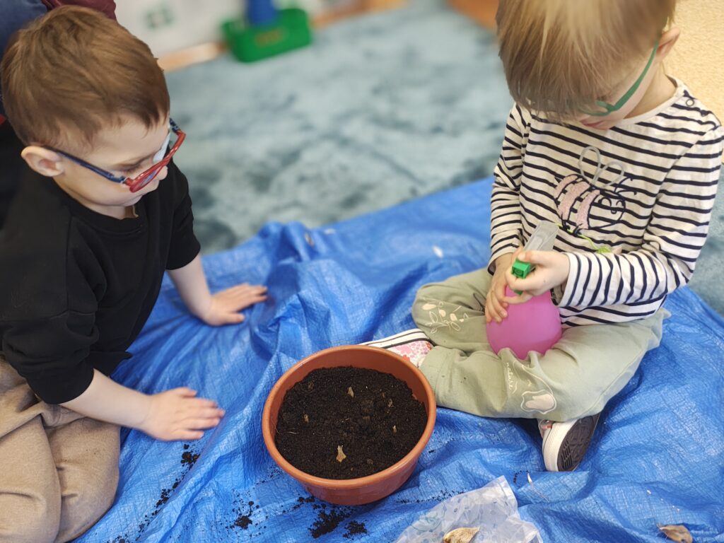 Podlewanie cebulek kwiatków