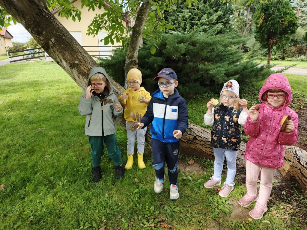 Promyczki w ogrodzie z jesiennymi listkami